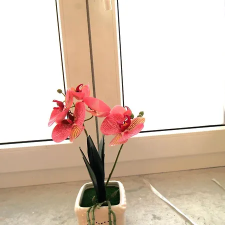 아파트 Casa Daniela *