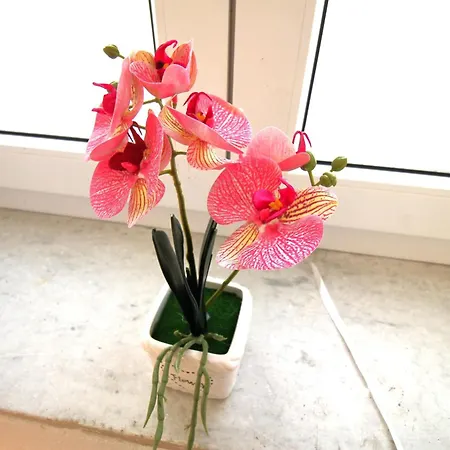 Casa Daniela Cagliari