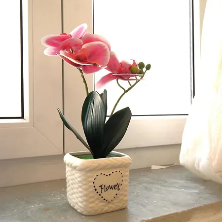 Casa Daniela アパート カリアリ