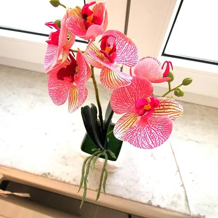 アパート Casa Daniela